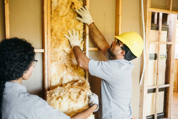 Types of Insulation We Offer in West Perrine, FL